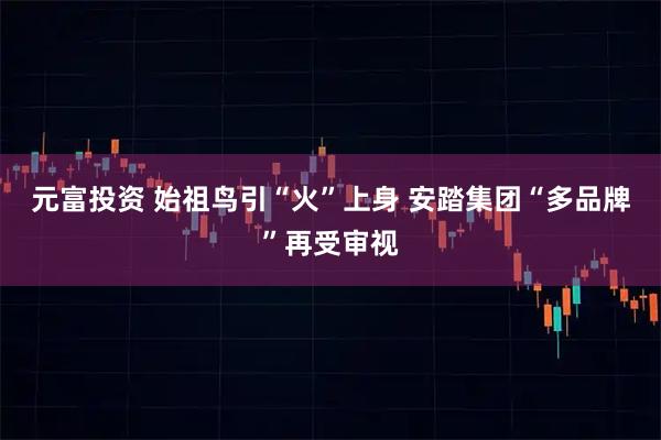 元富投资 始祖鸟引“火”上身 安踏集团“多品牌”再受审视