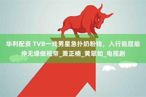 华利配资 TVB一线男星急扑奶粉钱，入行能屈能伸无缘做视帝_萧正楠_黄翠如_电视剧